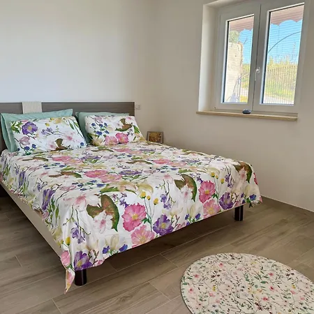 Appartement Aurora *